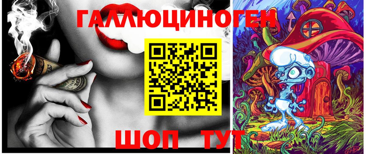 Гусев  Псилоцибиновые грибы мухоморы  Вход с VPN 